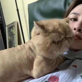 长春名角左小右